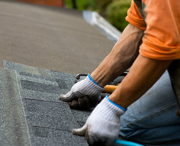 Roof Repair Estimates in Arlington, WA