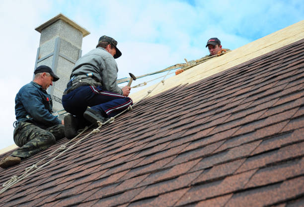 Roof Waterproofing Services in Arlington, WA